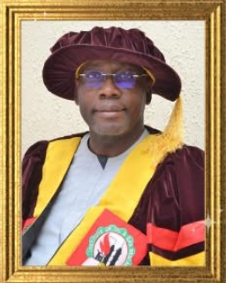 Mr. Vincent Iwueze FIOGR