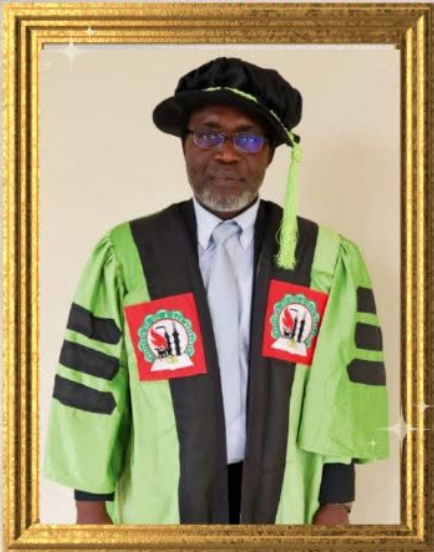 Engr. Prof. Emenike Chinedozi Ejiogu Ph.D, FIOGR